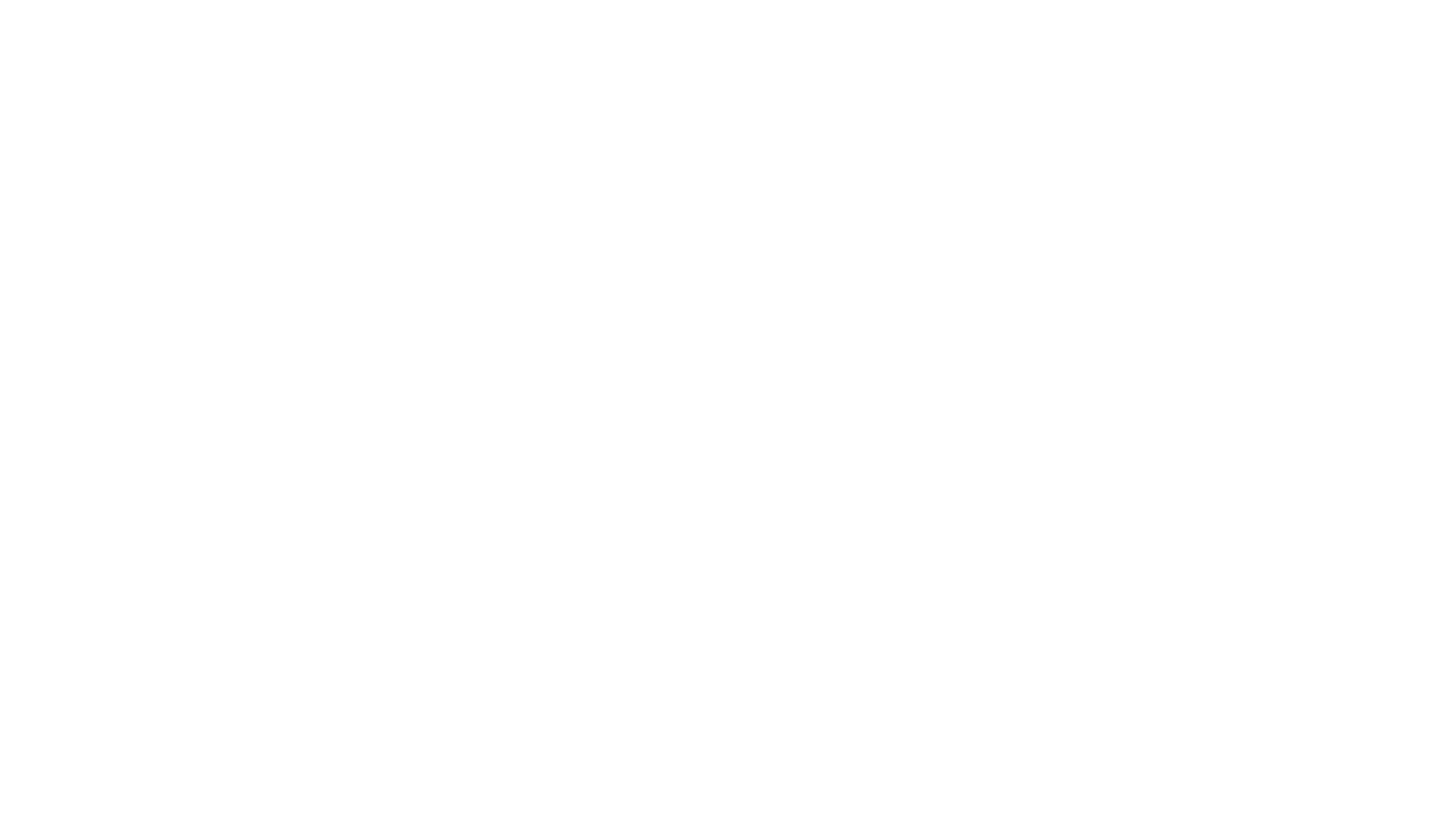 Partner 1
